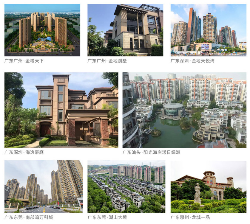 法立奥电梯制造商案例