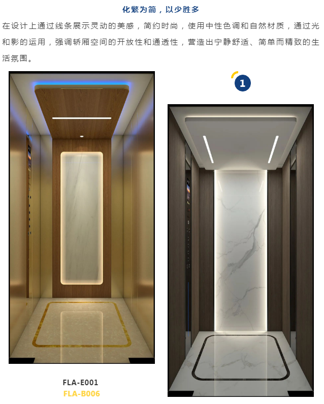 法立奥别墅电梯