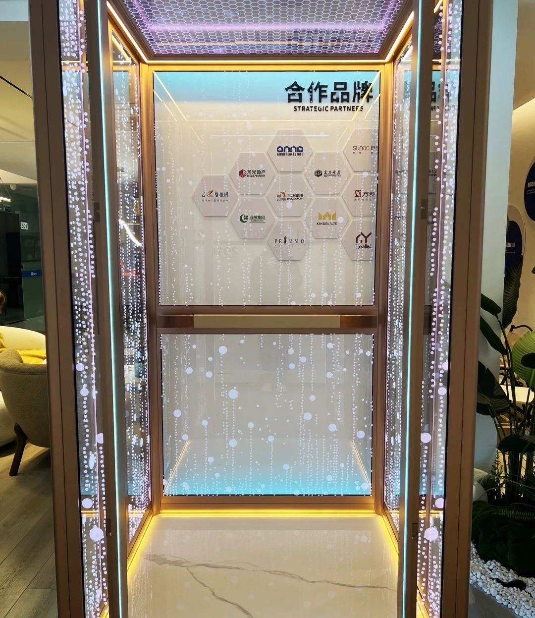 法立奥新款观光电梯