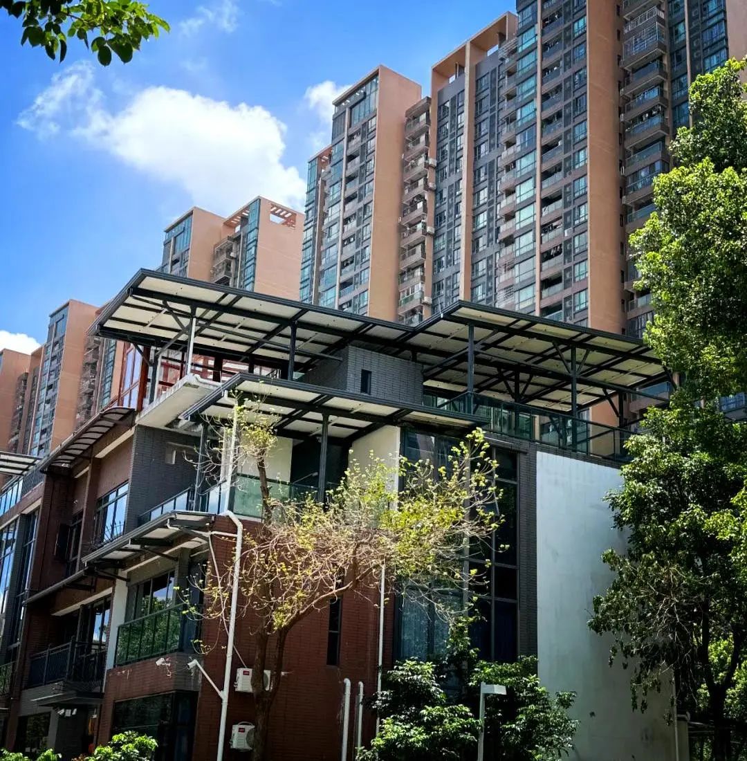 法立奥别墅电梯案例