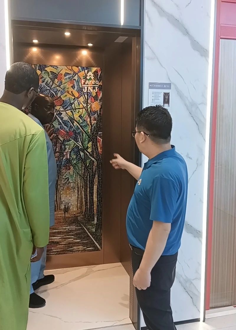 法立奥家用电梯厂家