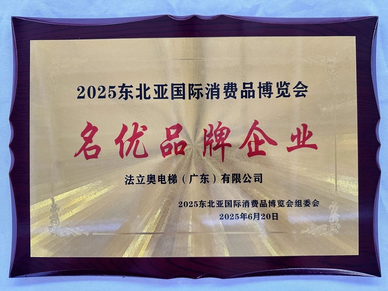 国内电梯制造企业选法立奥